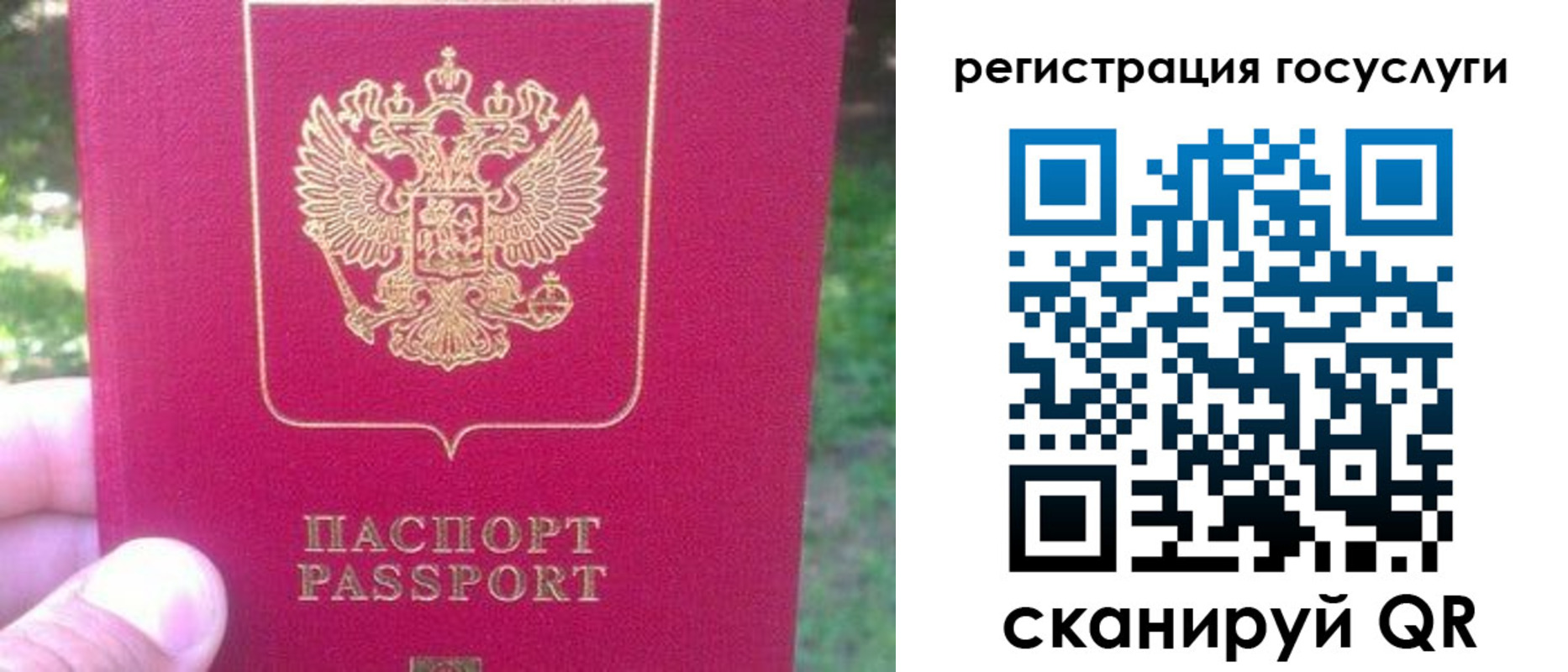 временная прописка в Волхове